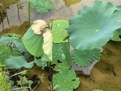 -贵阳蓬莱仙界