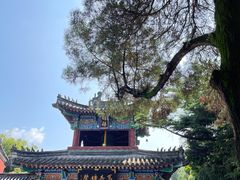 -洛阳白马寺