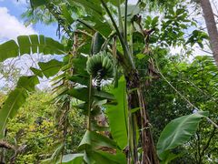 -七仙岭温泉国家森林公园