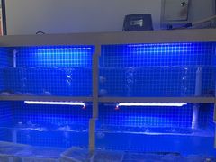 -威海渔村(静安旗舰店)