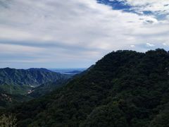 -大岭沟猕猴桃谷风景区