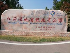 -微山湖红荷湿地景区