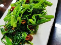 炒时蔬-天一沾水肥肠(科园一街店)