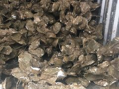 -蚝专家(北滘店)