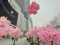 -金茂览秀城