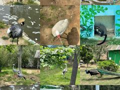 -西霞口神雕山野生动物世界