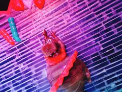 -梦幻奥陶纪景区