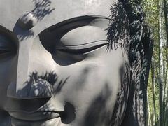 -杭州植物园