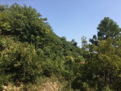 -绍兴鉴湖君澜大酒店