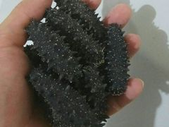 -宫品海参专卖店(黄浦老西门店)