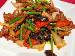 -清真·老兰家(兴善寺西街总店)