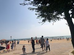 -八大关景区