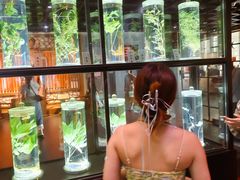 -广东中医药博物馆