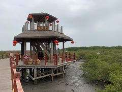 -北海金海湾红树林生态旅游区