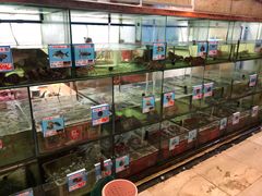 水产区-三亚老渔民海鲜店