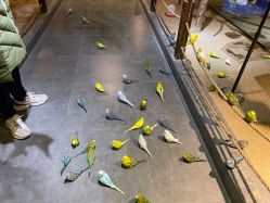 -酷嗒动物文化乐园(cutezoo西溪乐天城店)