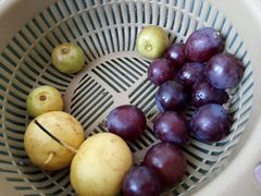 -神农美特好生鲜超市(三墙店)