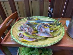 -苗岭侗寨(金阳店)