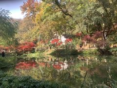 -岳麓山风景名胜区
