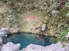 -十八棵（老龙井）御茶园(老龙井店)