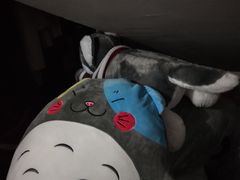 -MJ魔爵全机关真人密室逃脱(青浦万达茂店)