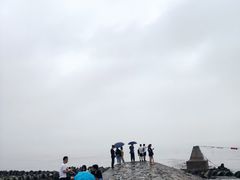 -南汇嘴观海公园