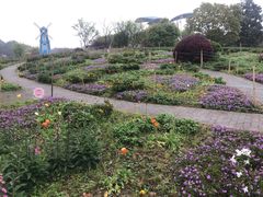 -铁山坪森林公园