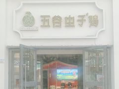 -五谷虫子鸡(医学院店)