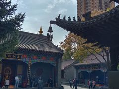 -护国法轮寺