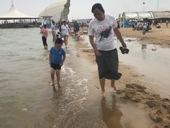 -碧海金沙
