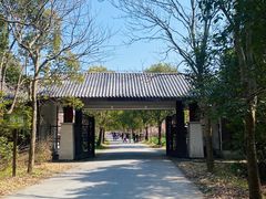 -上海海湾国家森林公园