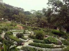 -广西壮族自治区药用植物园