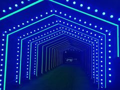 -破店肥蛤·海鲜·烧烤(翠园街店)