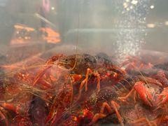 小龙虾-七鲜超市(万向城店)