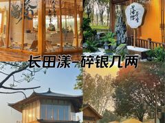 -长田漾湿地公园