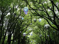 -上海共青森林公园