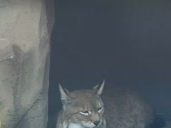 -青藏高原野生动物园