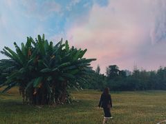 -白鹭湾湿地公园