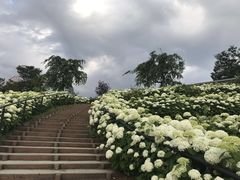 -台场海滨公园船码头