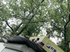 -COSTA COFFEE(西湖天地店)