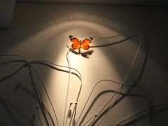 大堂-繁花足道(梅江店)