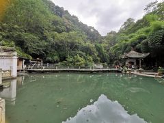 -黔灵山公园