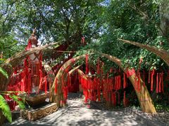 -西双版纳总佛寺