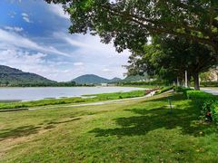 -风云岭森林公园