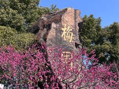 -无锡梅园公园