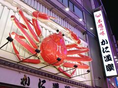 -蟹道乐(道顿堀本店)