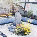 品鉴午间美味佳肴