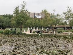 -前关湿地公园