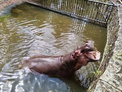 -海南热带野生动植物园