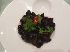 凉拌黑木耳-富淳饭店(陆家嘴保利广场店)